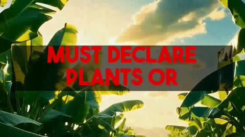 Your Hawaii Arrival Guide The Digital Agriculture Form