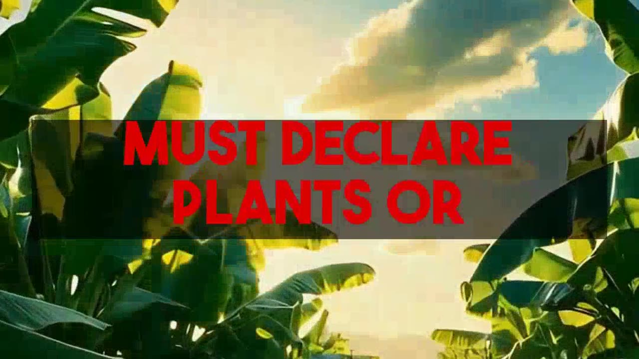 Your Hawaii Arrival Guide The Digital Agriculture Form