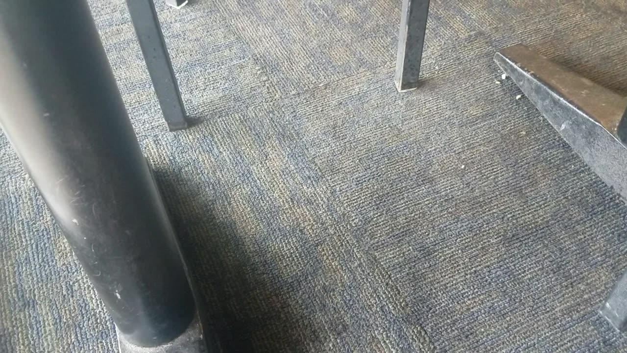 War Blimp Bot & Suk n Hoff families at a Restaurant 😨😬😅😂