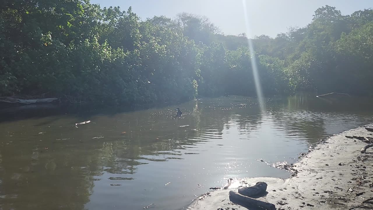 2/2/25 Dawgs in a river...Tail wag