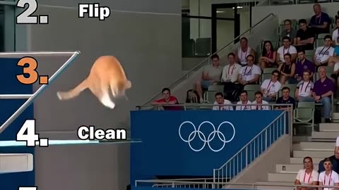 Ranking Best AI Cats Olympic Diving Moments