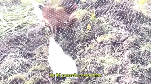 Chinese Farmers Shock the World!