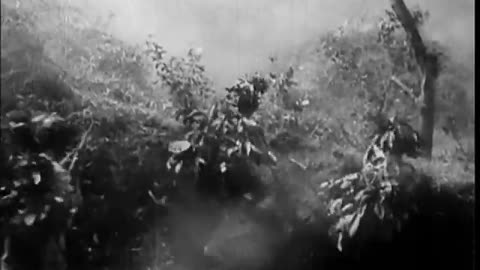 VIETNAM WAR MUSIC VIDEO NAM