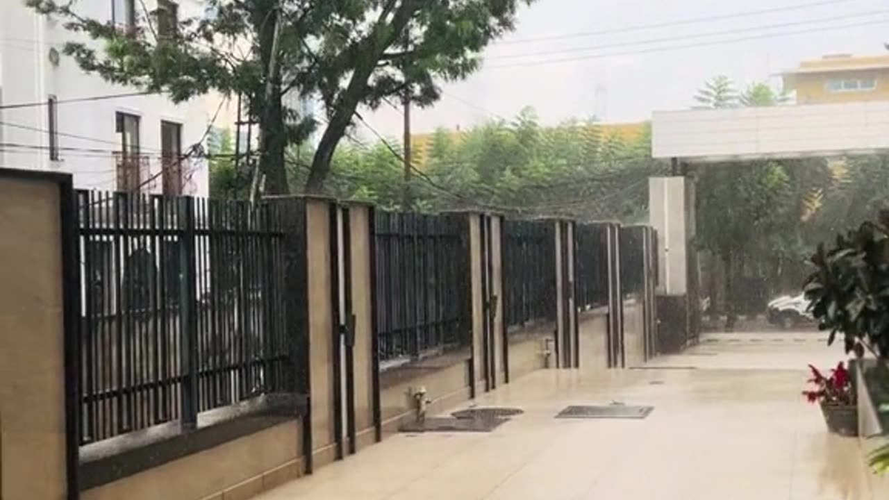 Rain