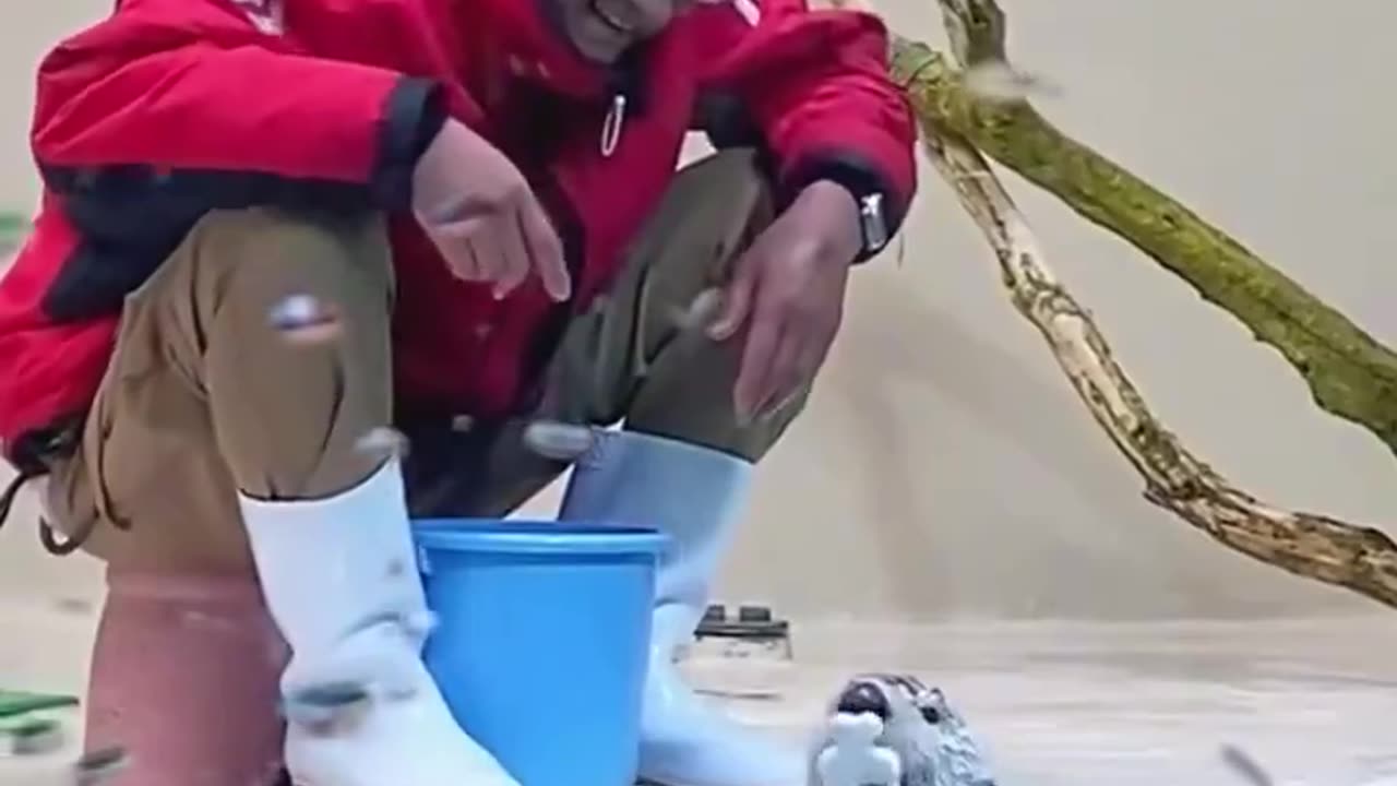 I don't know what's going on here but cuteness is overload 😍♥️