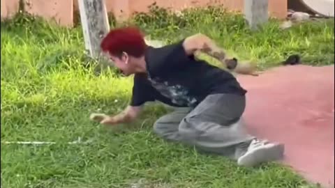 🐍😂 You Won't Believe This Snake Rescue! | FunFM