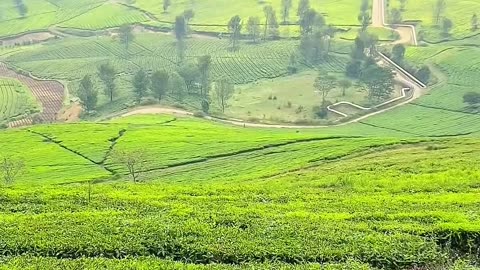 eating indomie in the mountains
