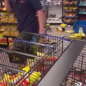 Women destroys store