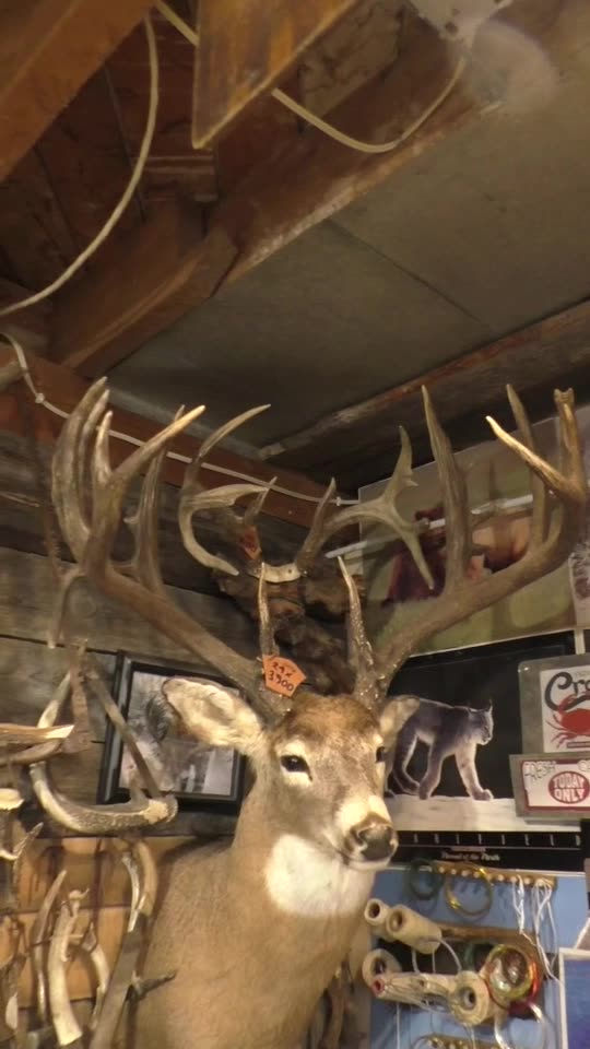 GET THE RIGHT SCORE ep#2