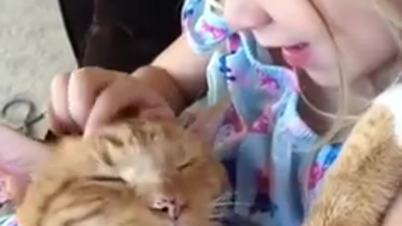 Happy Caturday!