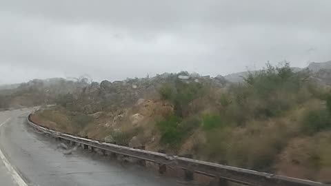 Shia, video recorded 1:26 PM Nov 23, '25 by Alyssa I love you and miss you Shia.