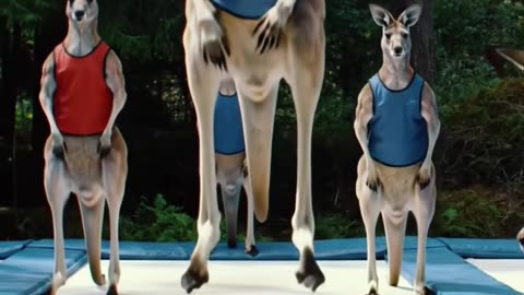 Kangaroo Crew Bouncing Like Pros on a Trampoline! #kangaroo #AI #shorts