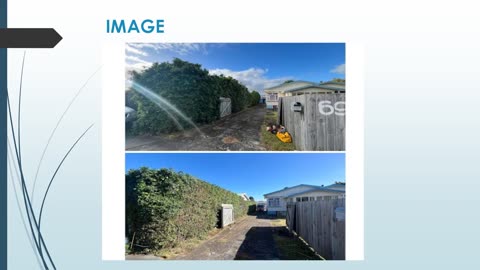 Best Hedge Trimming in Oranga