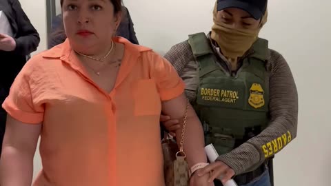 Woman Arrested in New York Immigration Court After Deportation Ruling — American Dream Delivered