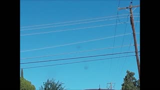 CRAZY COP. I AM DONE WITH GOD