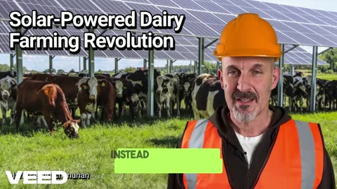 Powering the Future of Dairy Farming :Solar Energy