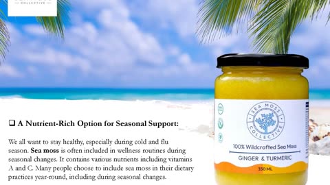 Why Sea Moss Is The Superfood Your Body Needs