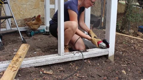 Complete Your Chicken Coop with Doors and Trim