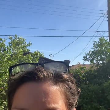 The trump administration is not doing jack shit about the blatant ...