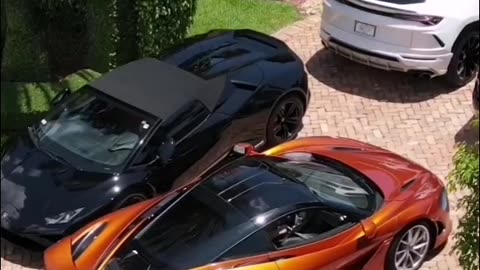 Trader life