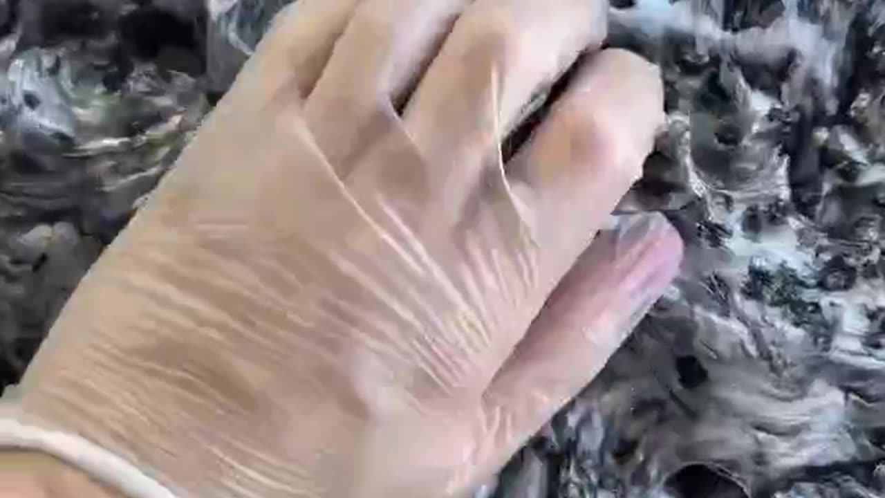 DONALD TRUMP HATES SLIME_!_ 😭