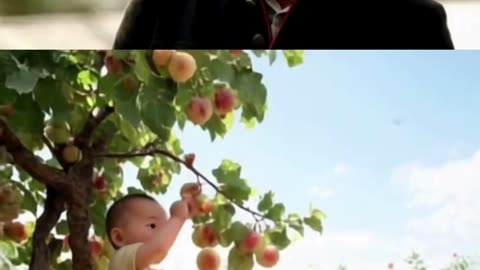picking peach 🍎