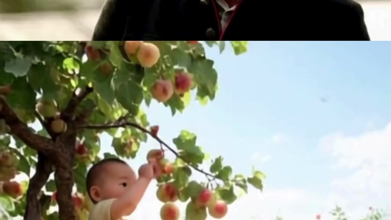 picking peach 🍎