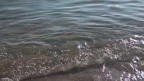 #WaterIsLife🌊🕊️🙏