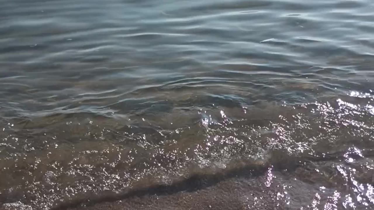 #WaterIsLife🌊🕊️🙏