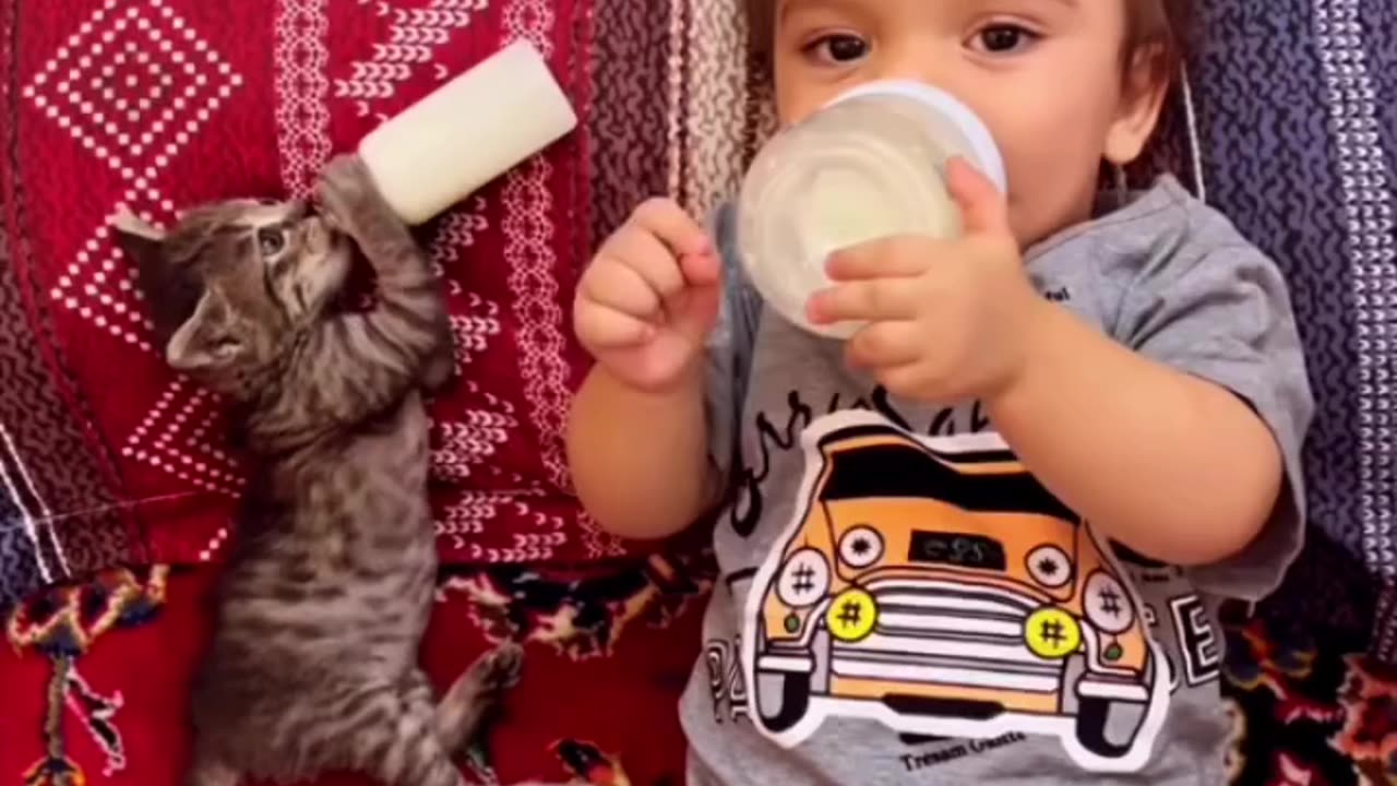 A cute baby and a baby cat both are drinking milk