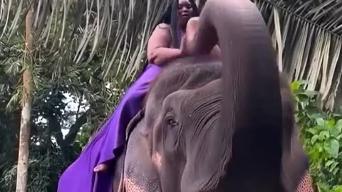 Even Elephants hate negros!!!❤️