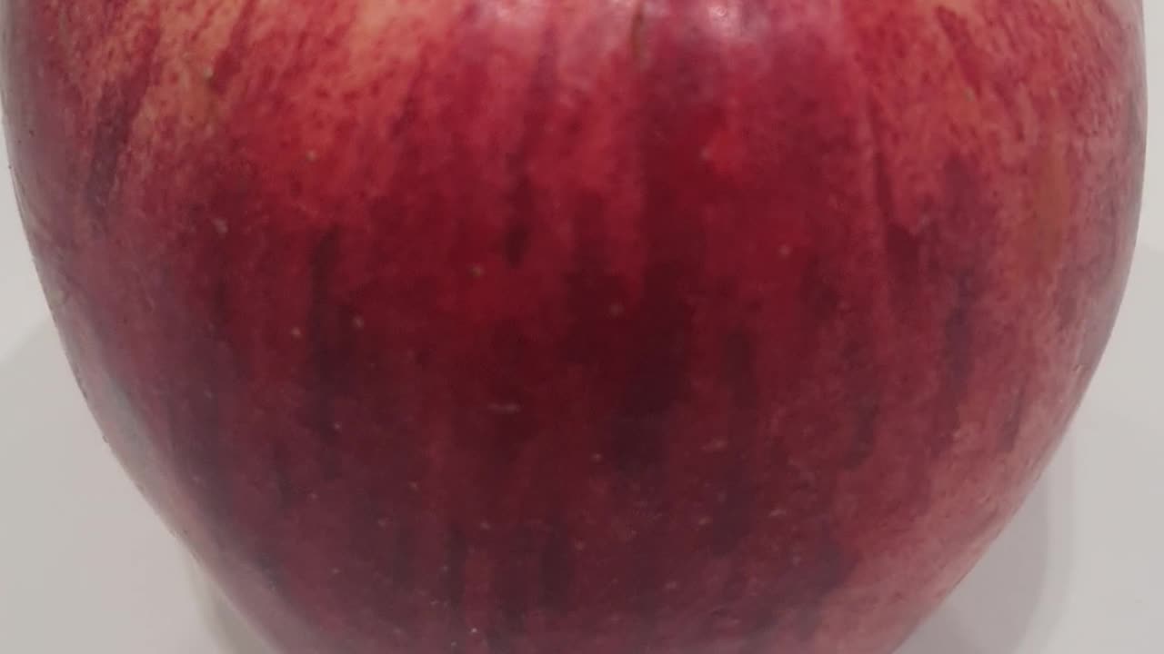 Celibacy - the right to choose