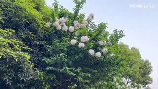 The Deepest Voice in the World