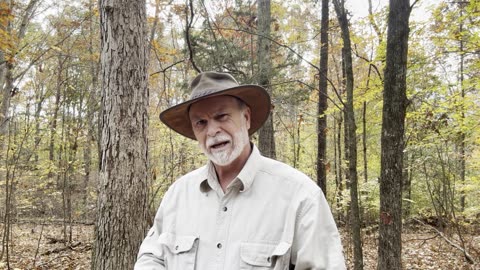 Greatness Isn’t Always Comfortable