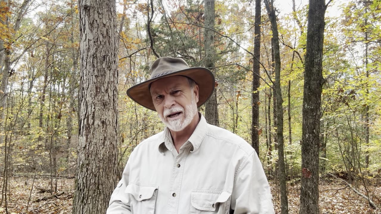 Greatness Isn’t Always Comfortable