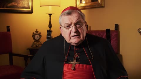 Cardinal Burke Urges You to Pray for the Sacred College of Cardinals