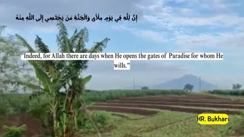 Partly about the Islamic religion 24