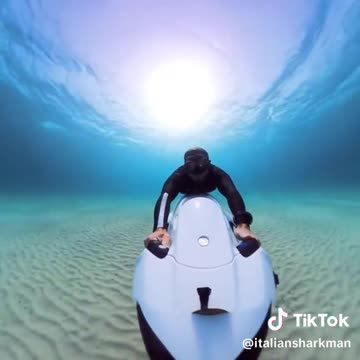 Crystal Clear (via:@italiansharkman)