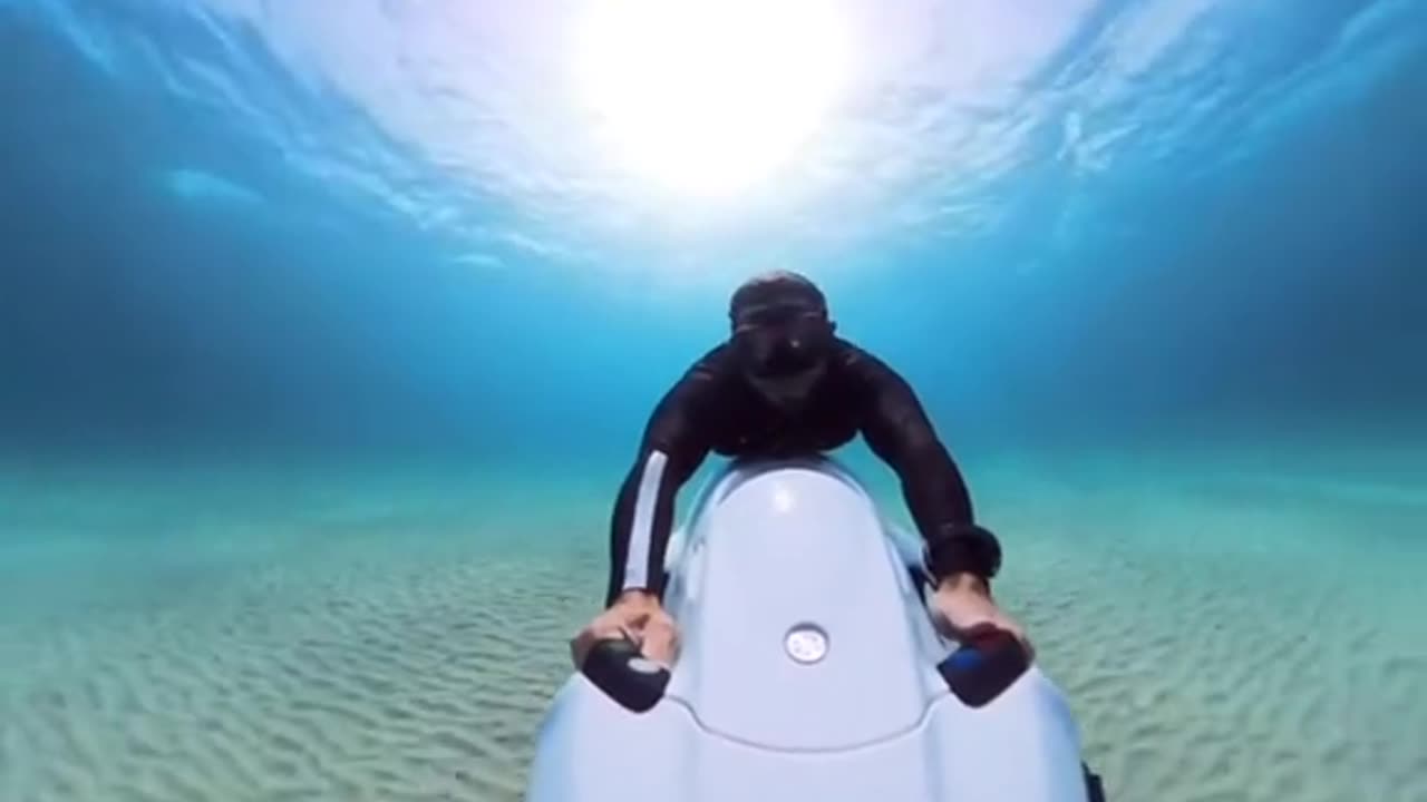 Crystal Clear (via:@italiansharkman)