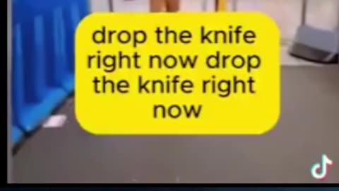 Illigal tries to stab people London undergroun and the police hide behind a man with a bag