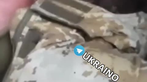 Ukraine war combat footage 11/9/25