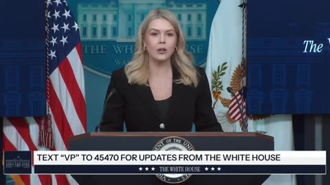 The Assault on ICE in Minneapolis Is the 'Result of a Larger, Sinister, Left-Wing Movement': Leavitt