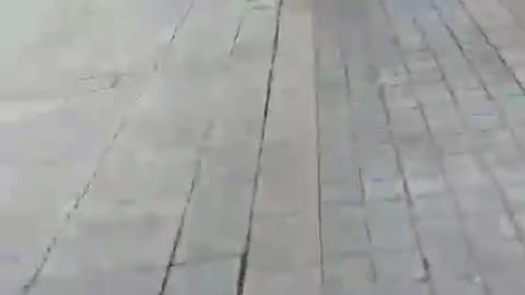 Directo en la Plaza de la Concepción (Cáceres, Extremadura, Spain)
