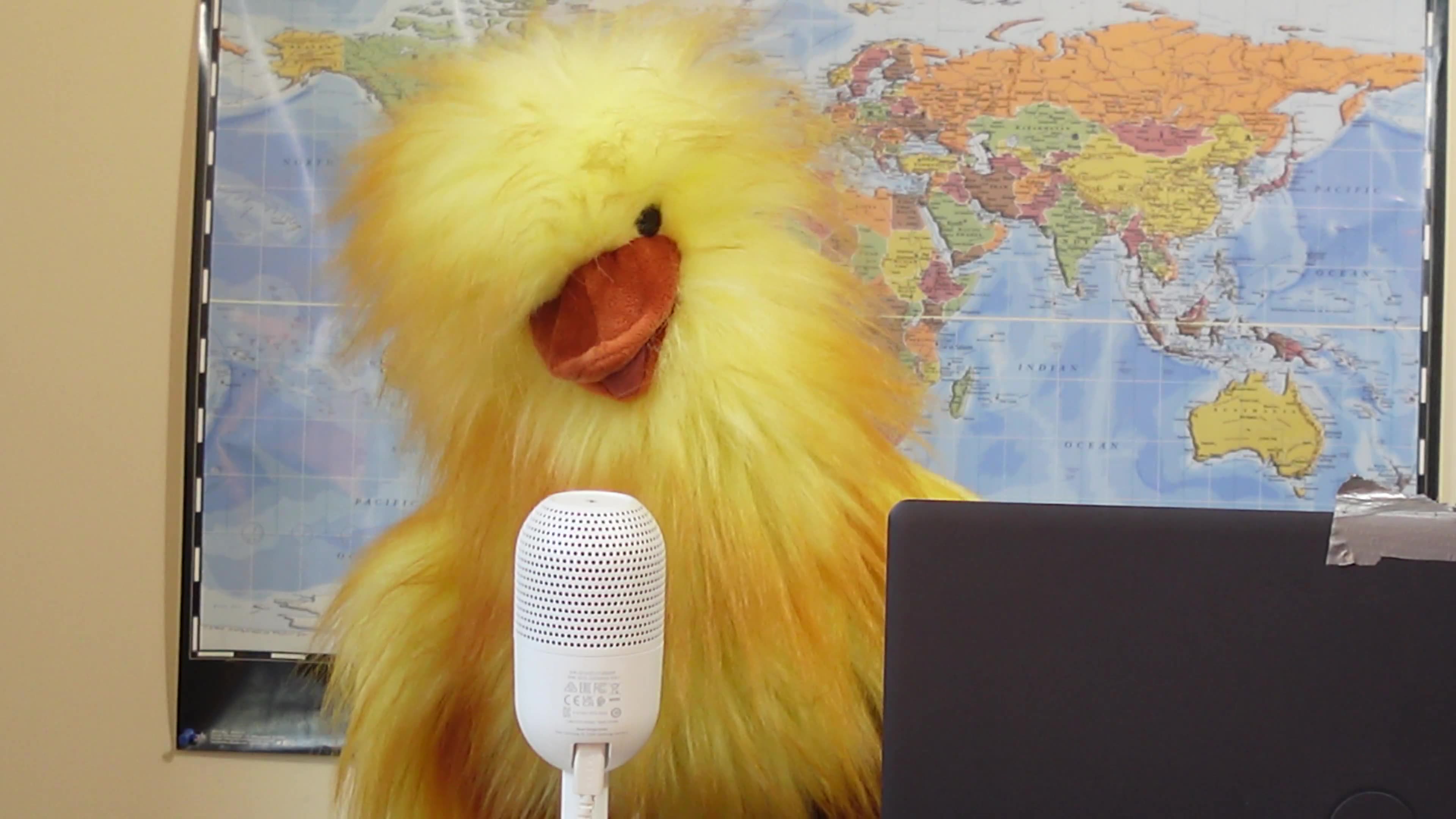 Henrietta Praises the Supreme Courts Stay of Execution for OSTRICHES at BC Ostrich Farm...