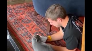 Cute Funny Rabbits