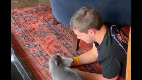 Cute Funny Rabbits
