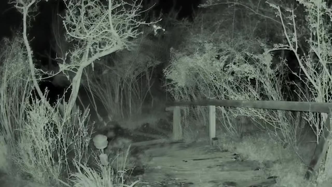 😱👽 UFO Sighting Caught on Camera! | TheHauntingHour