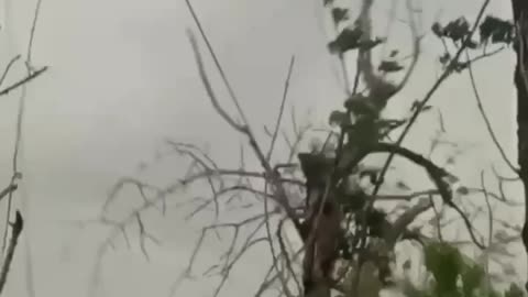 🌬️ The weather helps to disable Russian equipment on the front.