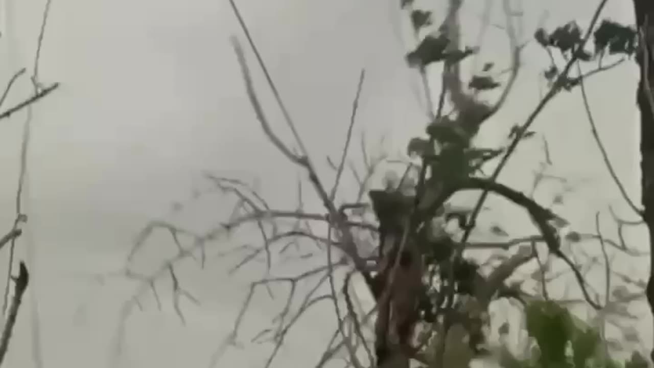 🌬️ The weather helps to disable Russian equipment on the front.