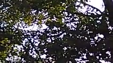 VID_0274 (ebhind the scenes)